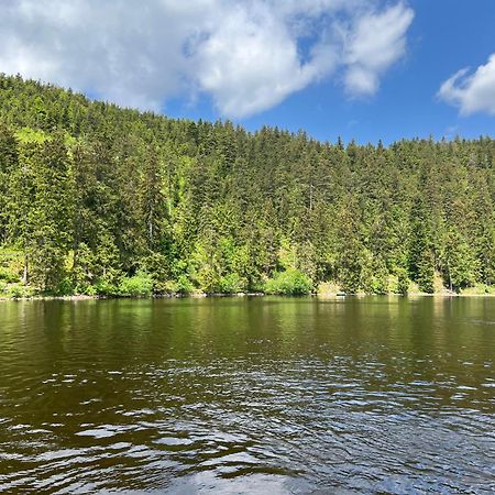 Apartament An Wanderwegen Gelegen Mit Terrasse Und Boxspringbett Sasbachwalden Zewnętrze zdjęcie