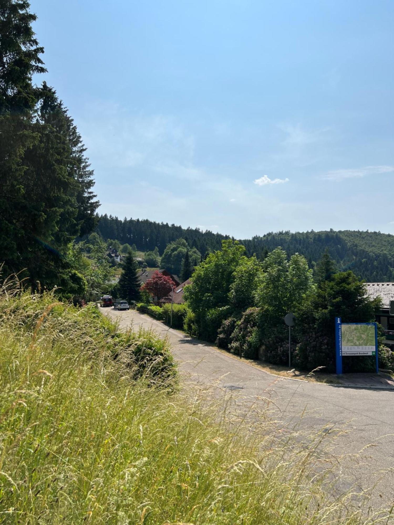 Apartament An Wanderwegen Gelegen Mit Terrasse Und Boxspringbett Sasbachwalden Zewnętrze zdjęcie